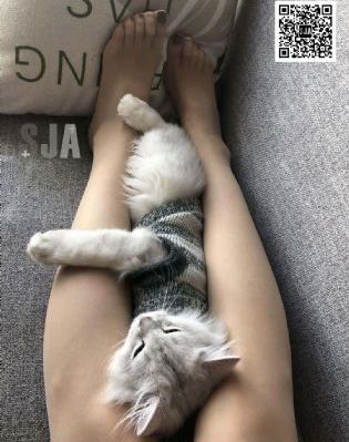一个看片免费视频www_高清韩国电影在线观看