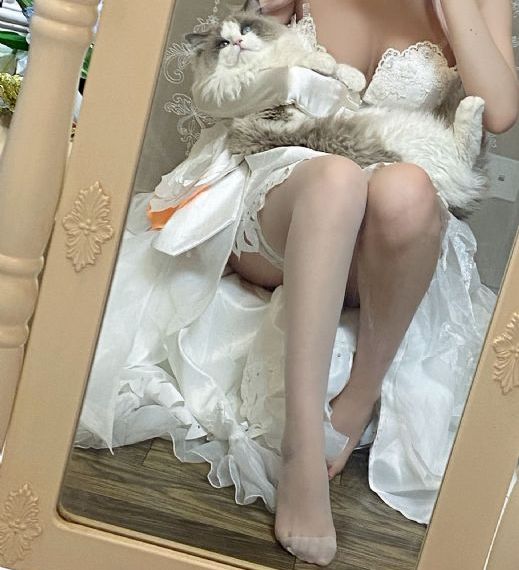 手机软件精品视频_BD英语视频大全